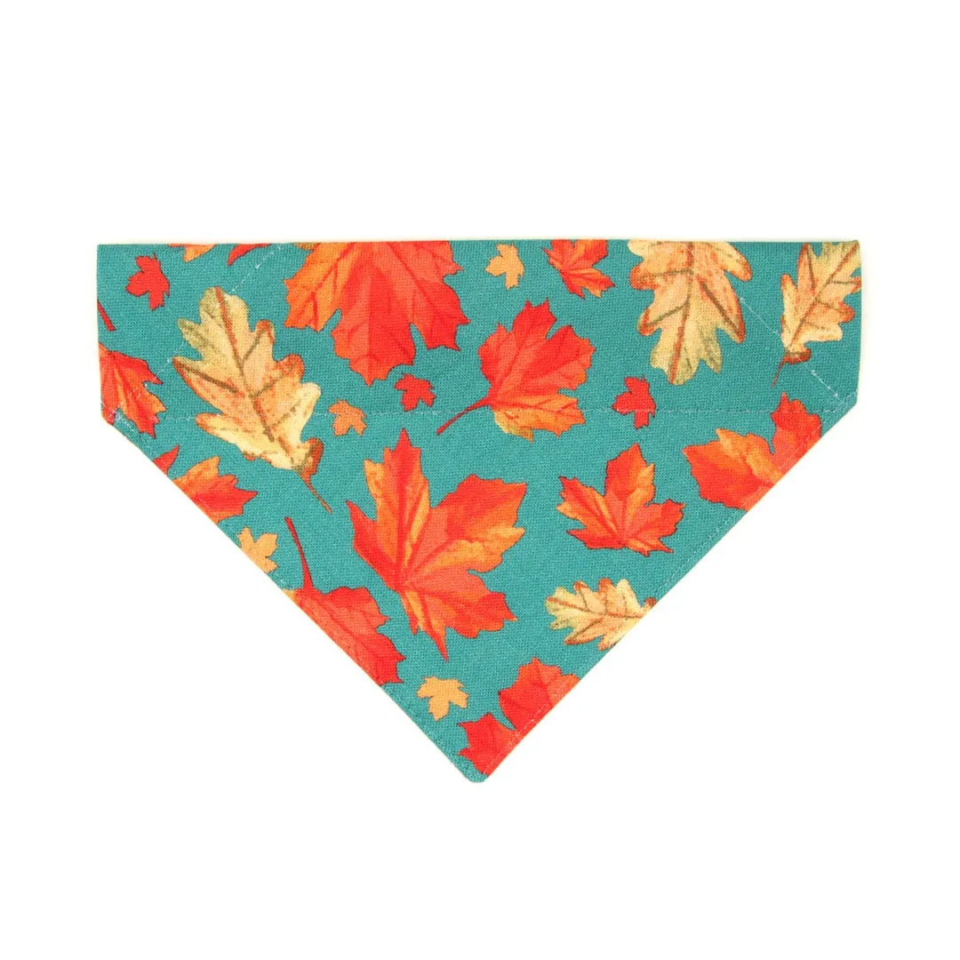 Pet Bandana - "Maple Hill" - Autumn Leaves Bandana for Cat   Small Dog / Fall, Thanksgiving, Canada, Maple Leaf / Slide-on Bandana / Over-the-Collar (One Size)