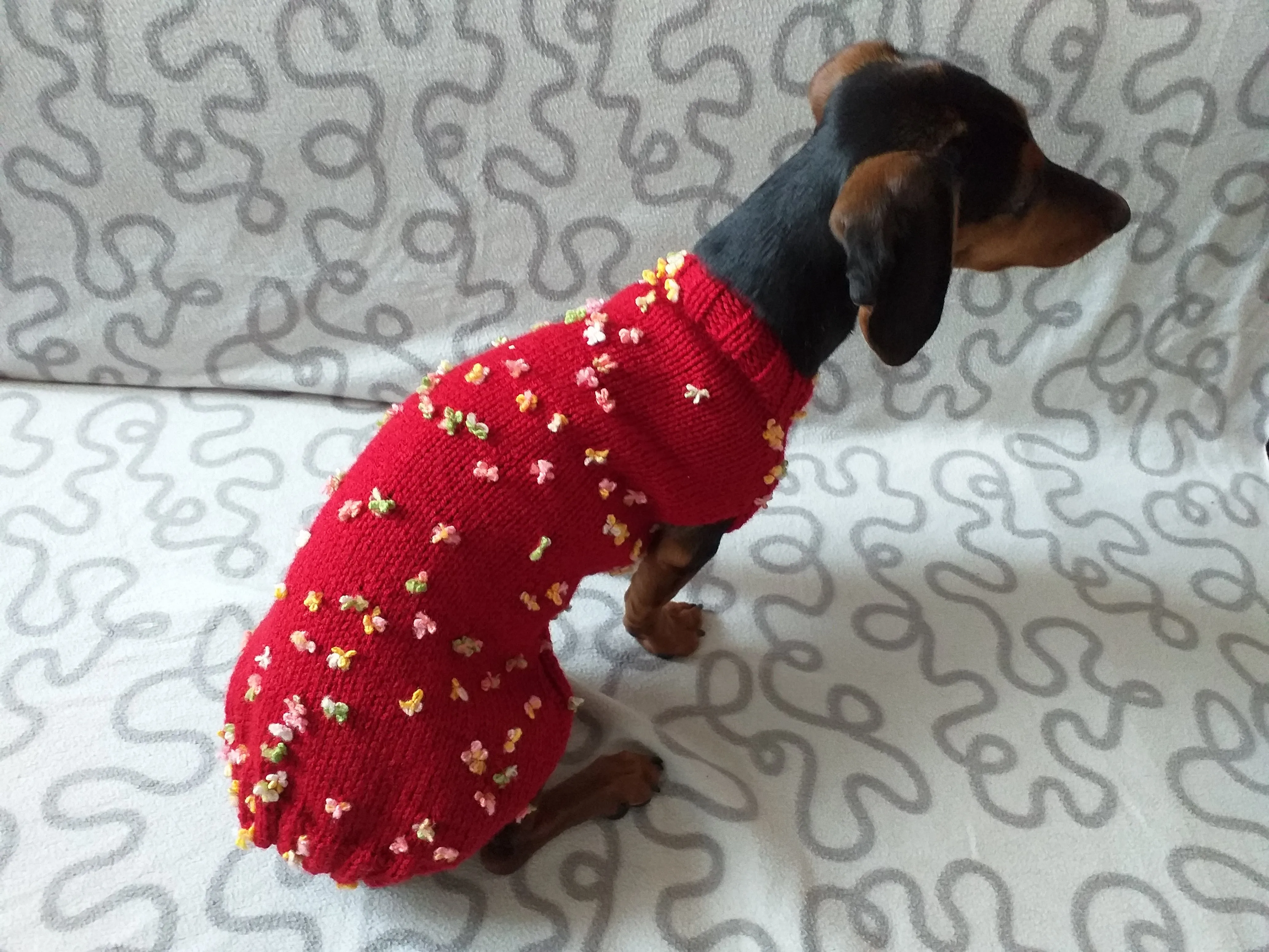 Sweater with flowers and butterflies for miniature dachshund or small dog.