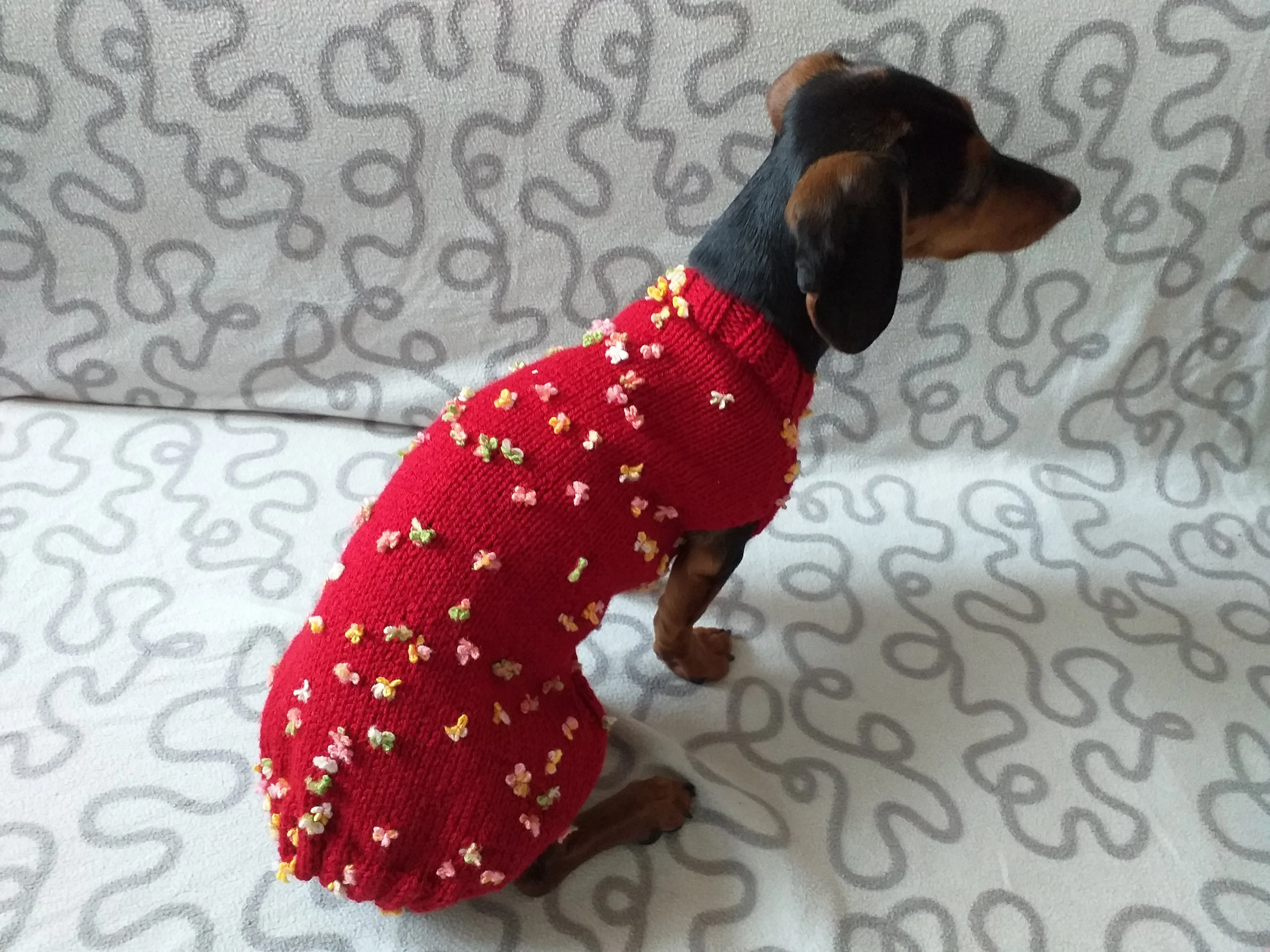 Sweater with flowers and butterflies for miniature dachshund or small dog.