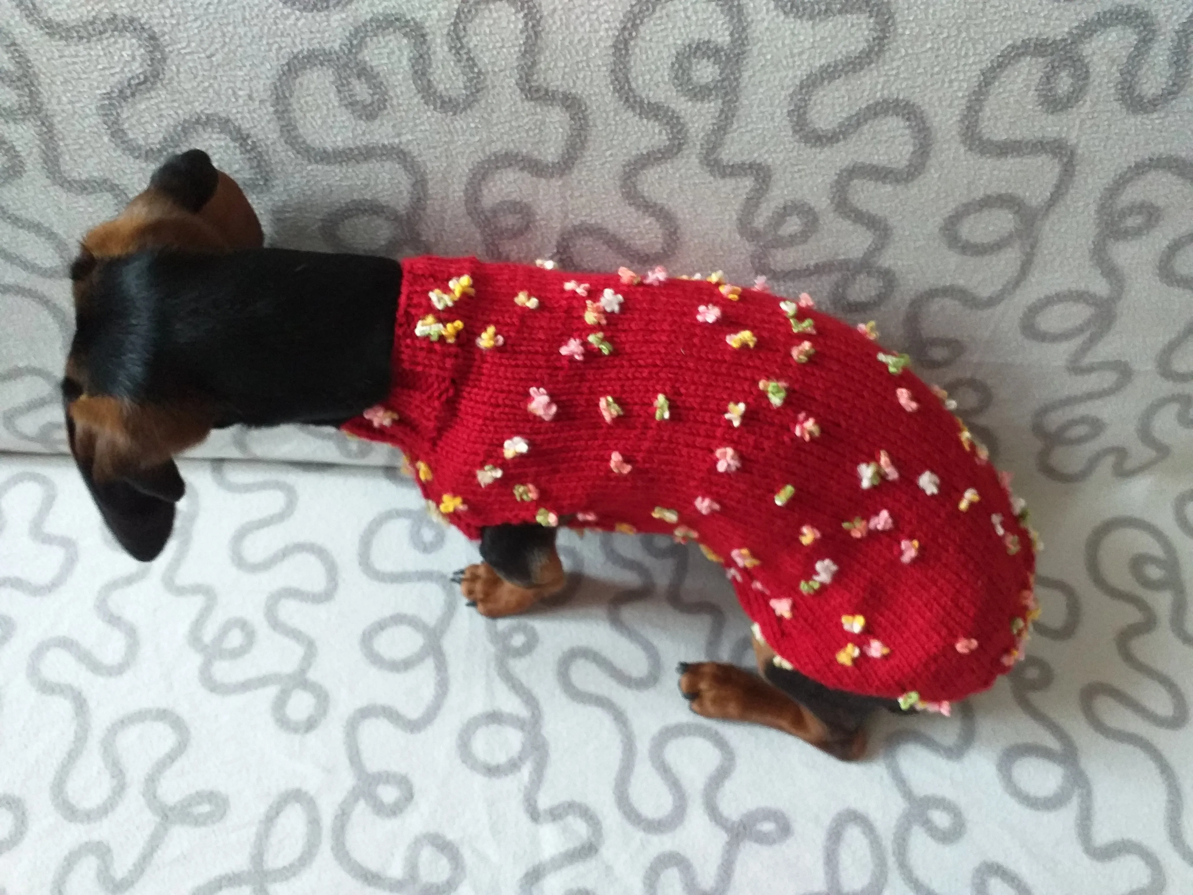 Sweater with flowers and butterflies for miniature dachshund or small dog.