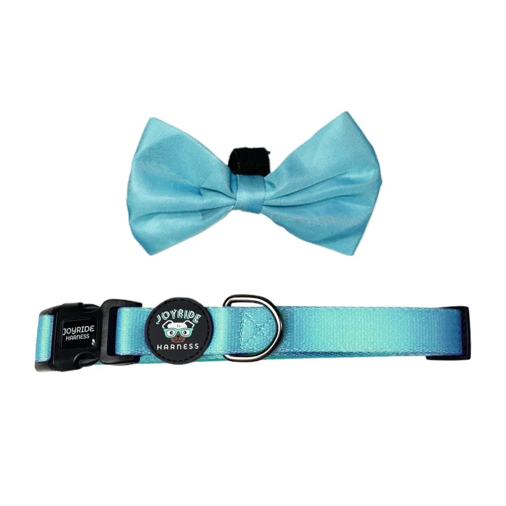 Teal Ocean Collar (   free removable bowtie )