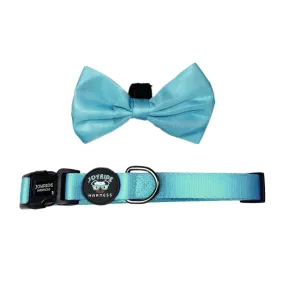 Teal Ocean Collar (   free removable bowtie )