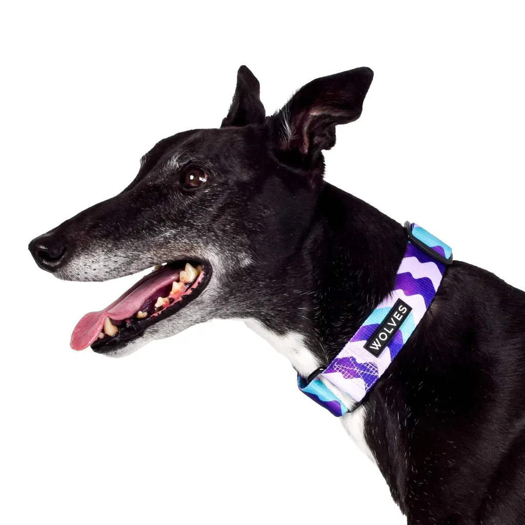 Wolves of Wellington  |  Sulley Greyhound Collar