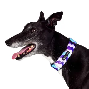 Wolves of Wellington  |  Sulley Greyhound Collar